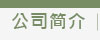 公司简介